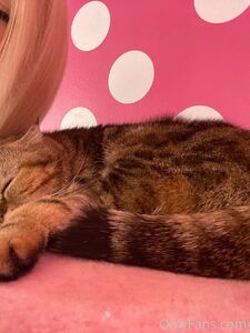 Kenzie reeves new hot onlyfans leaked nudes