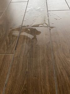 Allison Parker new hot onlyfans leaked nudes