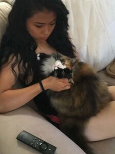 rebeccabenedictvip onlyfans leaks nude photos