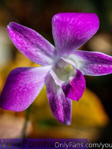 your_submissive_doll Onlyfans Leaks Nude Album - Latest leaks