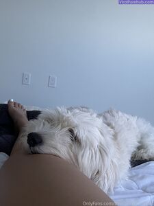 Thecollegestripper Latest Onlyfans Premium Leaks