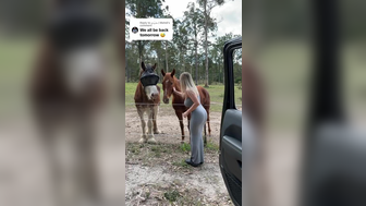 Wettmelons Blonde Thot Exposed her Bouncy Tits at Outdoor Video