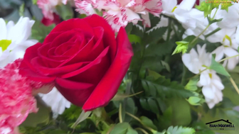 Savannah Parker Throating BBC And Taking Inside Her Tight Pussy After TitFuck Video