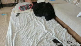 Missbella Twerking an Showing Her Big Ass in Tight Lingerie Onlyfans Live Video
