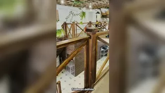 Sweetbuttock Public Nude Video Tiktok Leaked