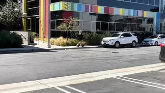 Ryan Reid and Rara Knupps Leaked Threesome Fuckfest Video