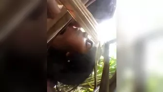 Countryside couple having sextape secretly in the sugarcane field
 Indian Video Tape