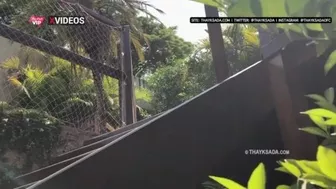 Sexy  Recebi O Entregador De Gas Toda Safadinha E Provocativacomma Sem Calcinha E Sem Sutiatilde