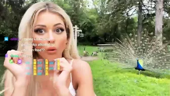 thedandangler Tease Her Fake Tits in Nude Boobs Video
