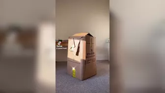 Area51FREAK Naked Tiktok Banned Video Tape Leak