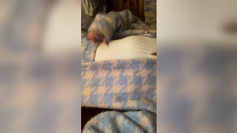 That1iggirl Showing Her Cute Nipples Before Her Roomie Comes Onlyfans Leaked Video